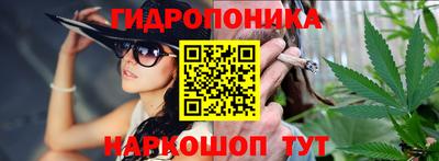 дмт Гусев