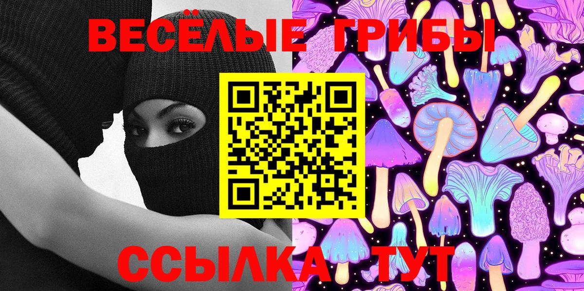 Галлюциногенные грибы прущие грибы Нарткала