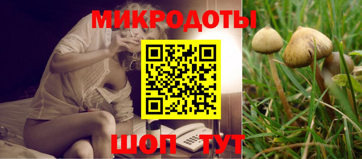 Нарткала  Псилоцибиновые грибы прущие грибы  Вход с VPN 